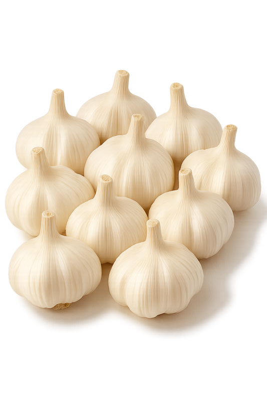 लहसुन(garlic)